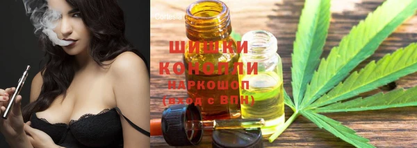 индика Киреевск