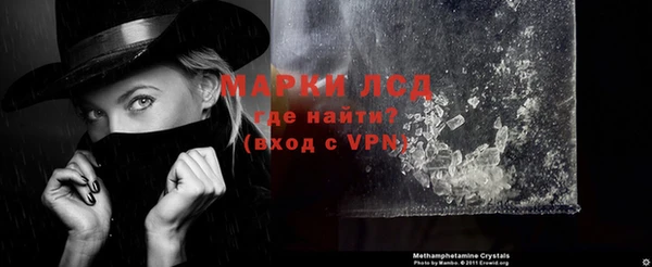 индика Киреевск