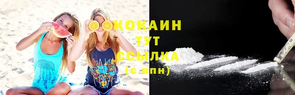 индика Киреевск