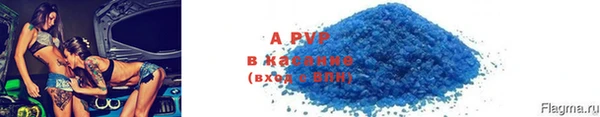 стаф Инта