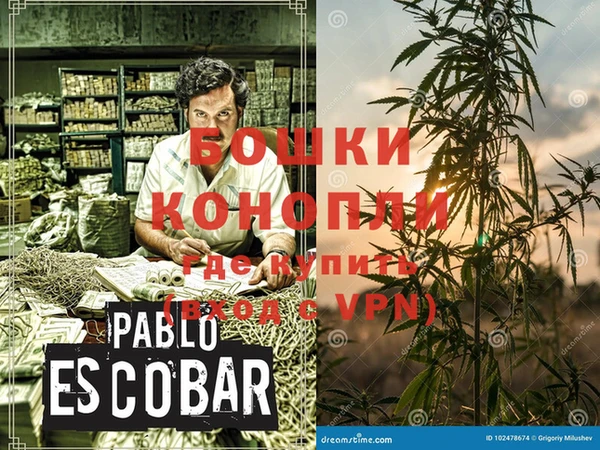индика Киреевск