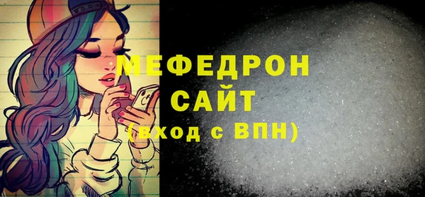 индика Киреевск