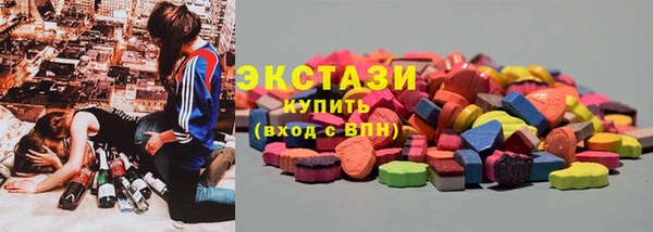 индика Киреевск
