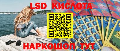 спиды Донской