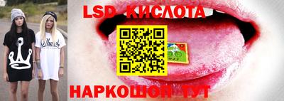 спиды Донской