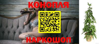 спиды Донской